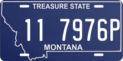 MT license plate 117976P