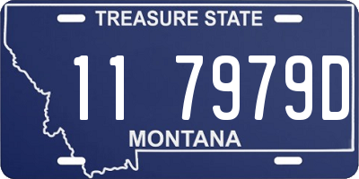 MT license plate 117979D