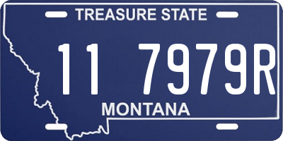 MT license plate 117979R