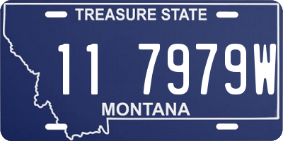 MT license plate 117979W