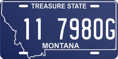 MT license plate 117980G