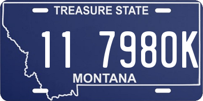 MT license plate 117980K