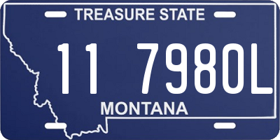 MT license plate 117980L