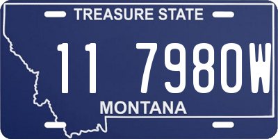 MT license plate 117980W