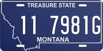 MT license plate 117981G