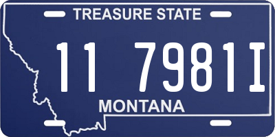 MT license plate 117981I