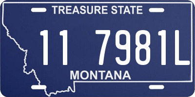 MT license plate 117981L