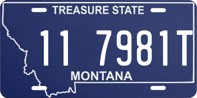 MT license plate 117981T