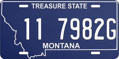 MT license plate 117982G