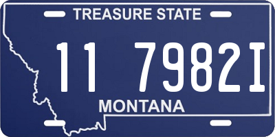 MT license plate 117982I