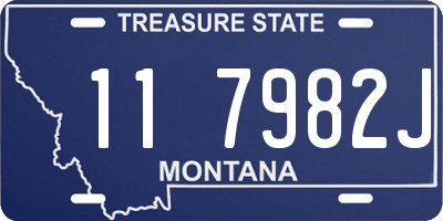 MT license plate 117982J