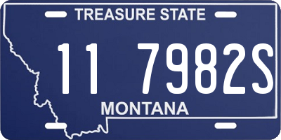 MT license plate 117982S