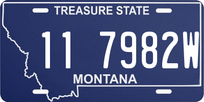 MT license plate 117982W