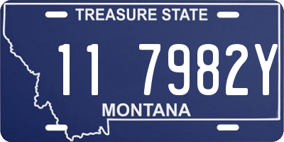 MT license plate 117982Y