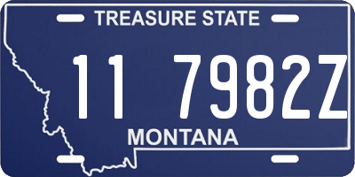 MT license plate 117982Z
