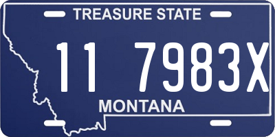 MT license plate 117983X