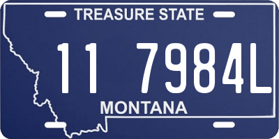 MT license plate 117984L