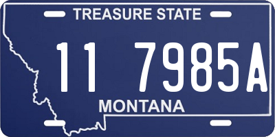 MT license plate 117985A