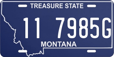 MT license plate 117985G