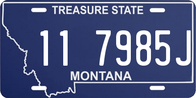 MT license plate 117985J