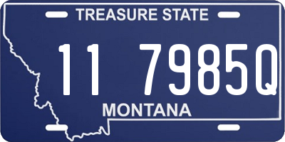 MT license plate 117985Q