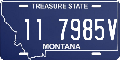 MT license plate 117985V
