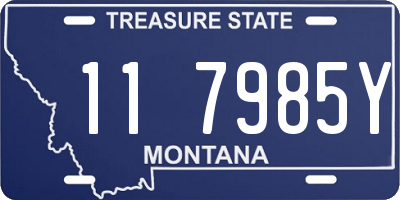 MT license plate 117985Y