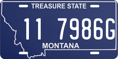 MT license plate 117986G