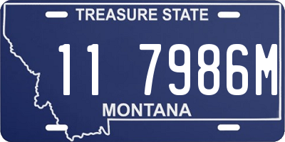 MT license plate 117986M