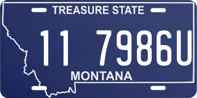 MT license plate 117986U