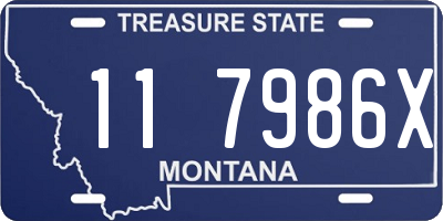 MT license plate 117986X