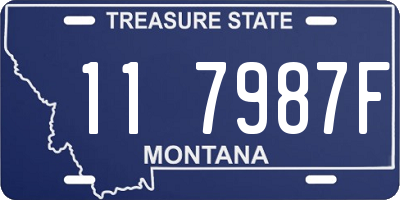 MT license plate 117987F