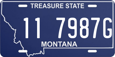 MT license plate 117987G