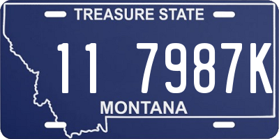 MT license plate 117987K