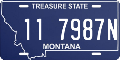 MT license plate 117987N
