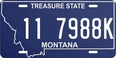 MT license plate 117988K