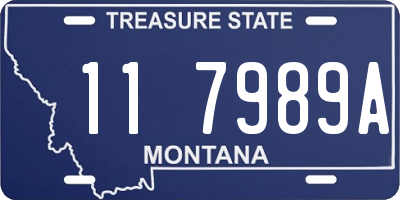 MT license plate 117989A