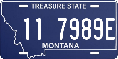 MT license plate 117989E