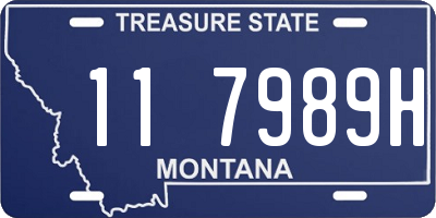 MT license plate 117989H