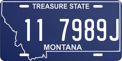 MT license plate 117989J
