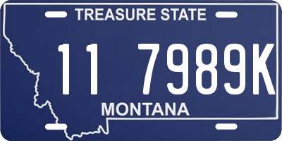 MT license plate 117989K