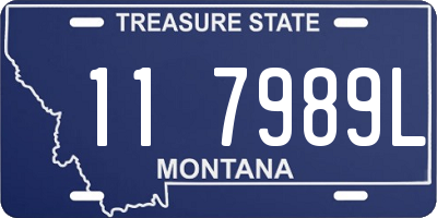 MT license plate 117989L