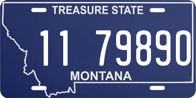MT license plate 117989O