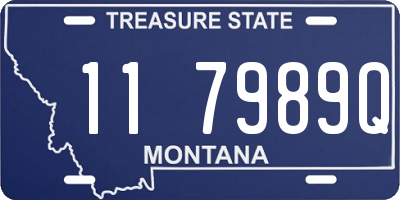 MT license plate 117989Q