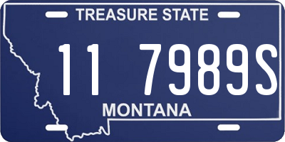 MT license plate 117989S