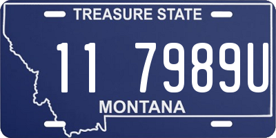 MT license plate 117989U