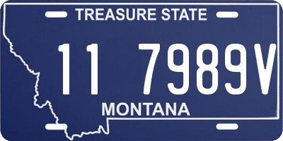 MT license plate 117989V