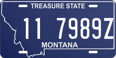 MT license plate 117989Z