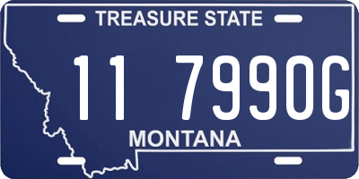 MT license plate 117990G