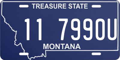 MT license plate 117990U